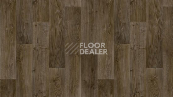 Линолеум Tarkett Discovery RIGARD 3 фото 1 | FLOORDEALER